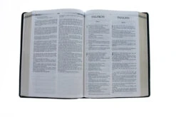 Span-RVR 1960/KJV Large Print Bilingual Bible-Black Imitation Leather -Cheap Book Store 216 0018 3