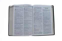 Span-RVR 1960/KJV Large Print Bilingual Bible-Black Imitation Leather -Cheap Book Store 216 0018 4
