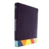 RVR 1960 Biblia De Estudio Arcoiris, Morado/multicolor
