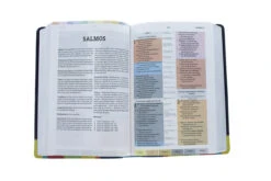 RVR 1960 Biblia De Estudio Arcoiris, Morado/multicolor -Cheap Book Store 216 0025 3 1