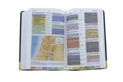 RVR 1960 Biblia De Estudio Arcoiris, Morado/multicolor -Cheap Book Store 216 0025 5 1