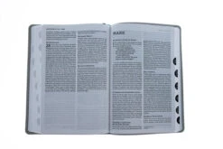 NET Bible, Thinline Large Print, Leathersoft, Stone, Thumb Indexed -Cheap Book Store 221 0008 4