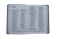 NET Bible, Thinline Reference, Large Print, Leathersoft, Teal -Cheap Book Store 221 0021 3