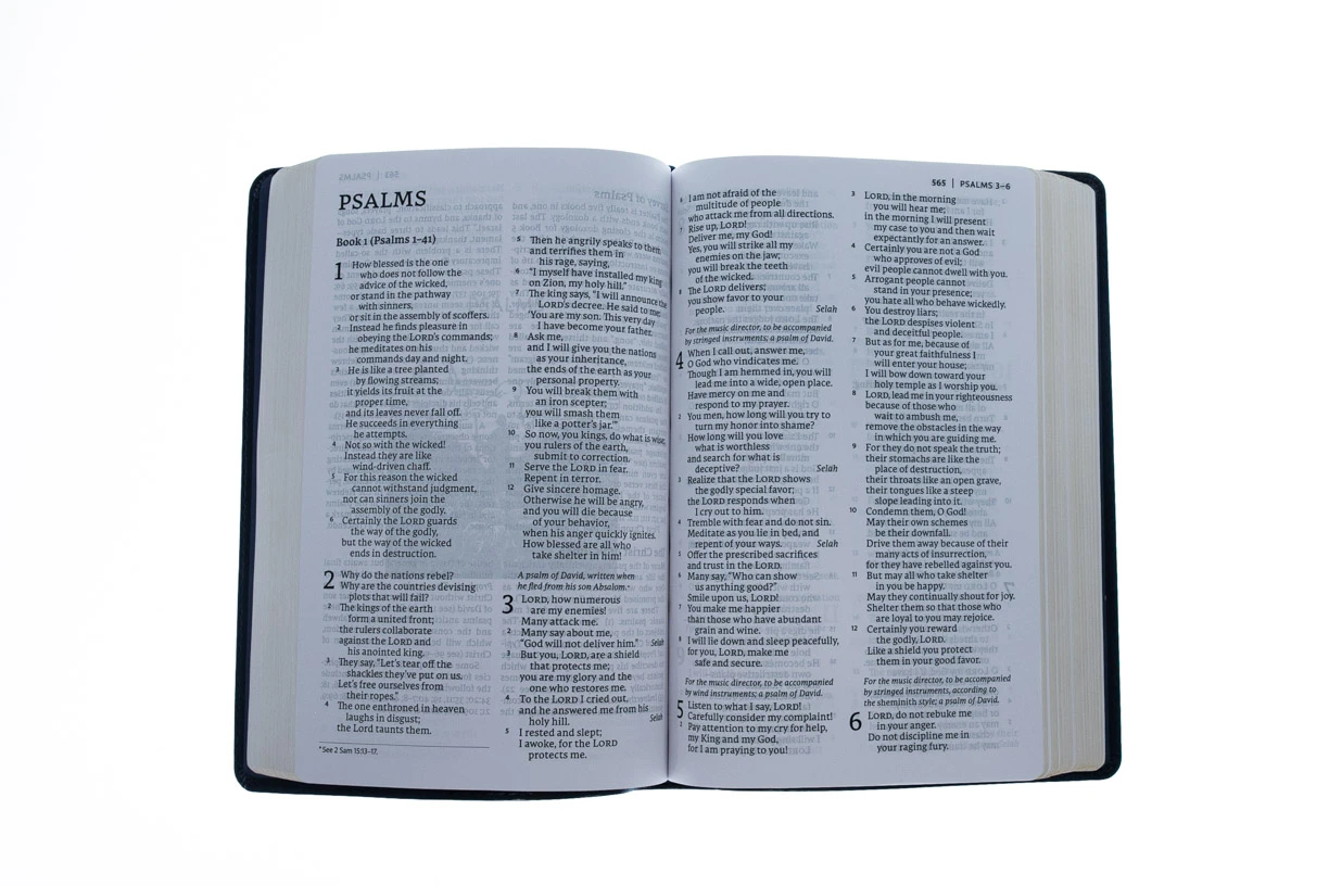 NET Thinline Art Edition/Large Print Blue Leathersoft 8 NET Thinline Art Edition/Large Print Blue Leathersoft - Image 6