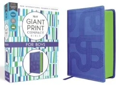 NIRV Giant Print Compact Bible For Boys