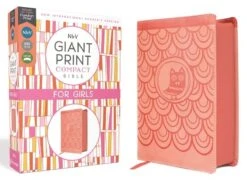 NIRV Giant Print Compact Bible For Girls