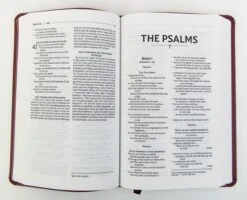 NRSVUE Gift Bible, Leathersoft, Burgundy, Comfort Print 8 NRSVUE Gift Bible, Leathersoft, Burgundy, Comfort Print -Cheap Book Store 226 0014 2