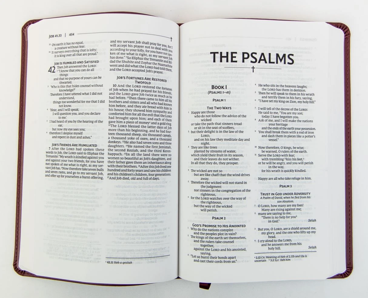 NRSVUE Gift Bible, Leathersoft, Burgundy, Comfort Print 5 NRSVUE Gift Bible, Leathersoft, Burgundy, Comfort Print - Image 3