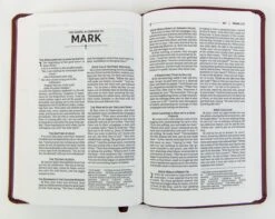 NRSVUE Gift Bible, Leathersoft, Burgundy, Comfort Print 9 NRSVUE Gift Bible, Leathersoft, Burgundy, Comfort Print -Cheap Book Store 226 0014 3