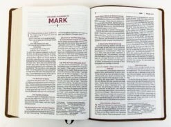 NRSVUE Holy Bible With Apocrypha, Leathersoft, Brown -Cheap Book Store 226 0015 2