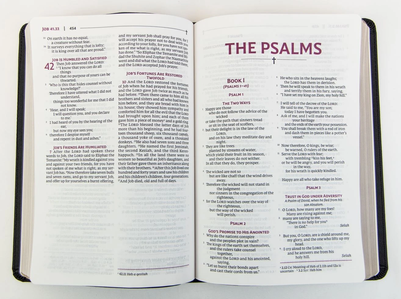 NVSVUE Holy Bible, Leathersoft, Black, Comfort Print 4 NVSVUE Holy Bible, Leathersoft, Black, Comfort Print - Image 2