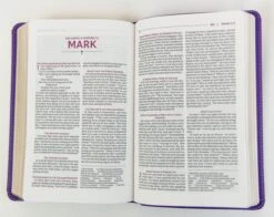 NRSVUE Holy Bible, Personal Size, Leathersoft, Purple, Comfort Print -Cheap Book Store 226 0020 2