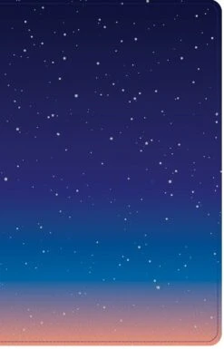 CSB Kids Bible, Thinline Edition, Space Leathertouch