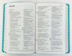 CSB Kids Bible, Thinline Edition, Aqua Leathertouch -Cheap Book Store 226 0023 2 1