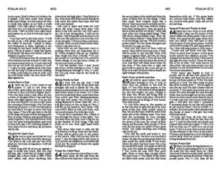 NLV Unique Bible For Teen Girls -Cheap Book Store 226 0029 2