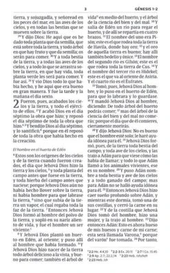 RVR 1960 Biblia Vencedores -Cheap Book Store 226 0032 4