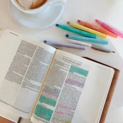 Pastel Bible Highlighter Set 11 Pastel Bible Highlighter Set -Cheap Book Store 250 1001 3